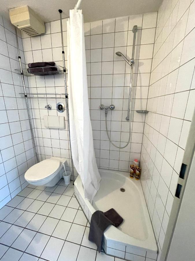 Gemuetliche In Fussgaengerzone Apartment Trier